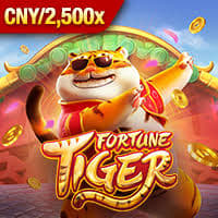 horas para jogar fortune tiger ícone